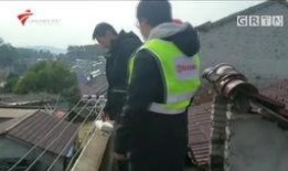 深圳今日关注爆料,今日关注爆料聚焦事件盘点